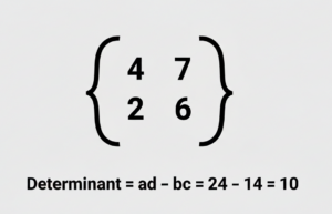 Determinantenrechner